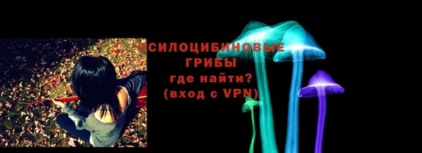 индика Верхний Тагил