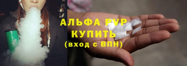 индика Верхний Тагил