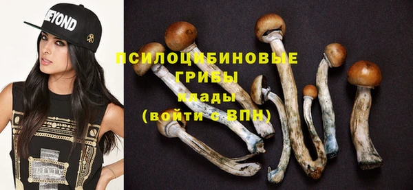 бутират Бородино
