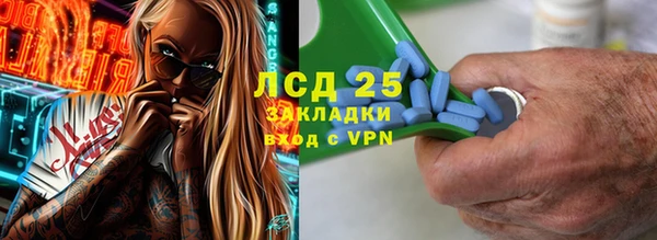 индика Верхний Тагил